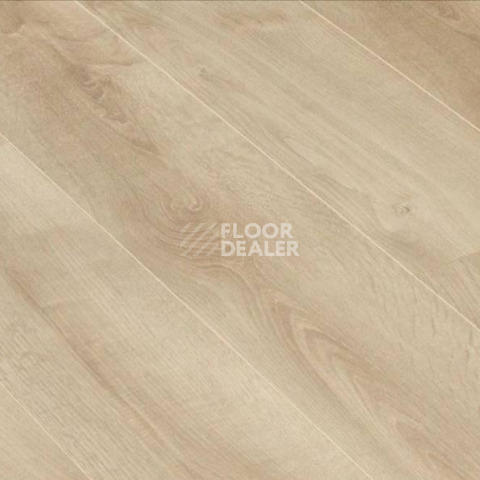 Ламинат Clix Floor Intense CXI151 Дуб Гастония фото 1 | FLOORDEALER